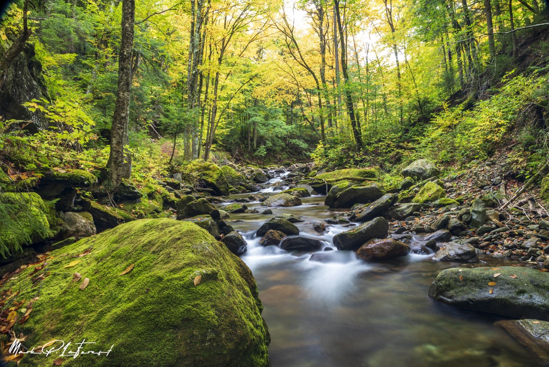 /gallery/north_america/USA/Vermont/chittenden brook/Chittenden Brook VT 2021-010_med.jpg